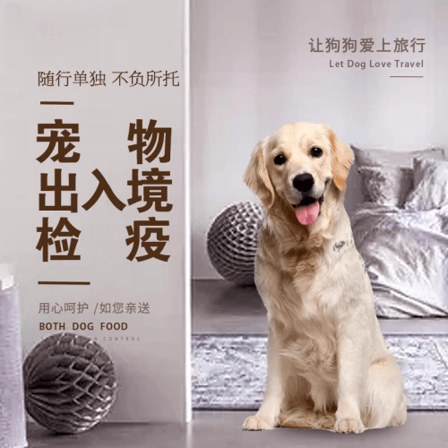 海外宠物托运到哥伦比亚猫狗宠物入境规定和