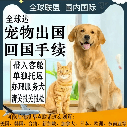 海外宠物托运到柬埔寨宠物入境规定和要求