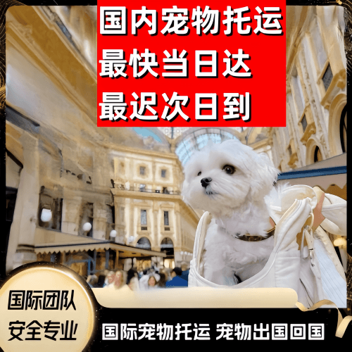 海外到澳大利亚（澳洲）宠物入境规定和要求